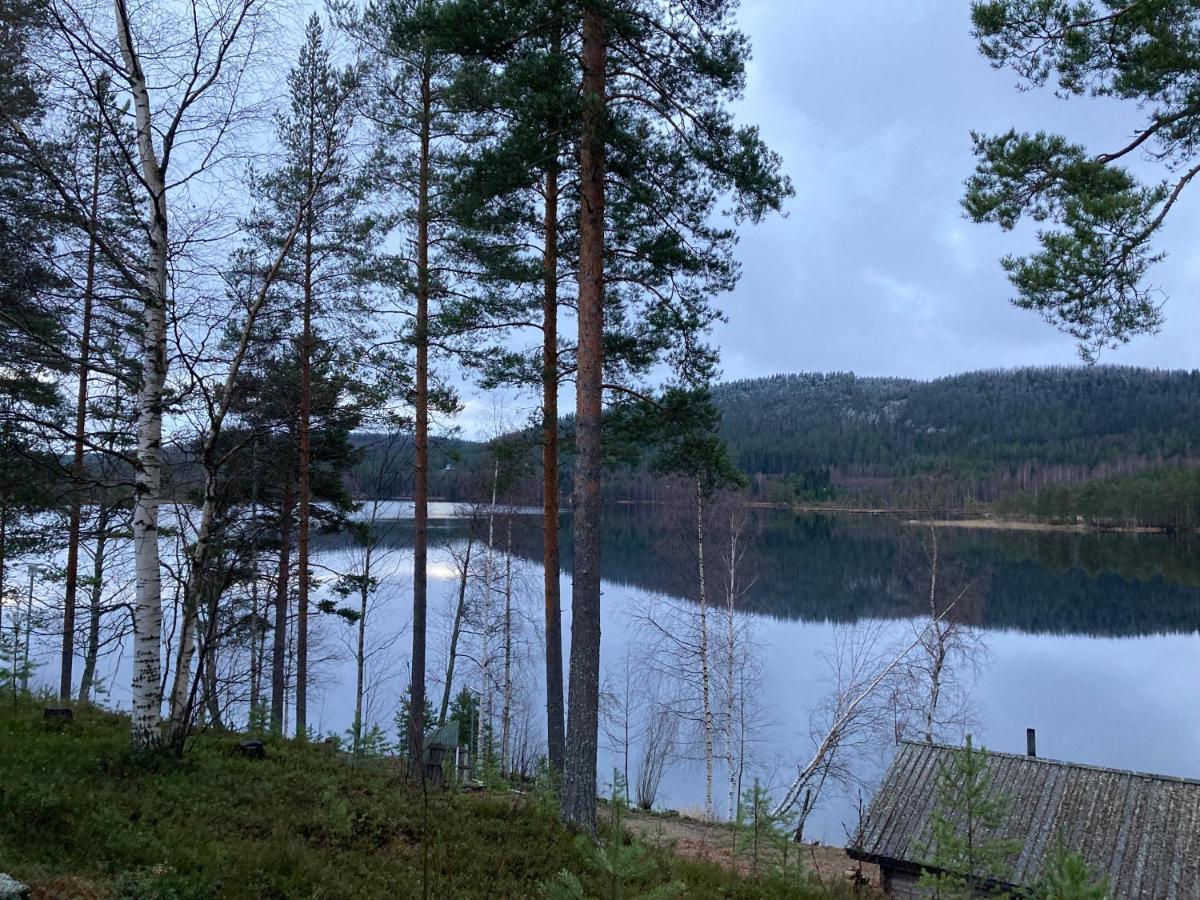 Koli Caravan Cottages Exteriér fotografie